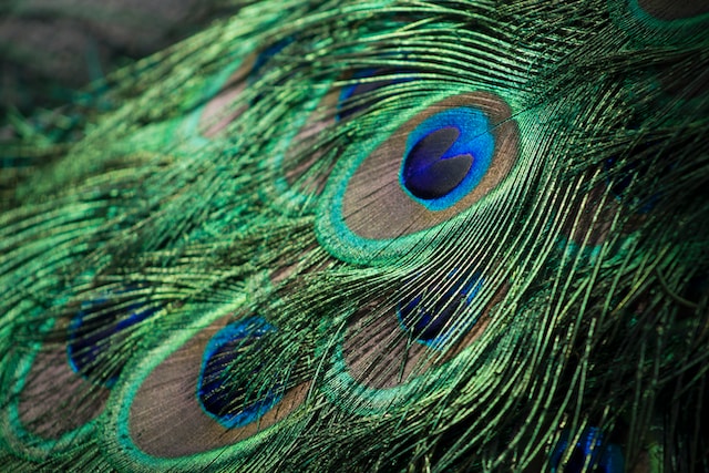 Green Feather Bookmarks