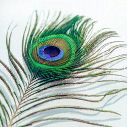 Green Feather Bookmarks