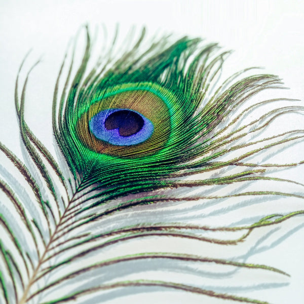 Green Feather Bookmarks